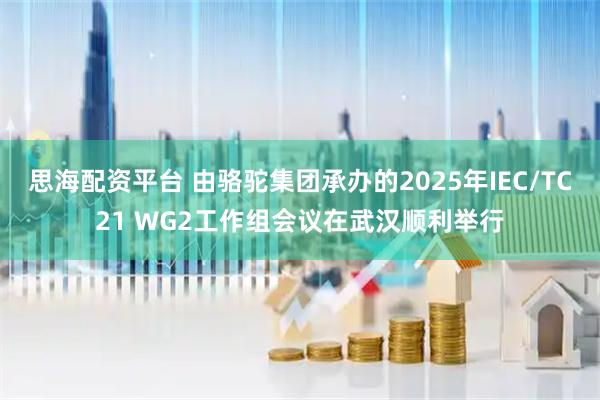 思海配资平台 由骆驼集团承办的2025年IEC/TC21 WG2工作组会议在武汉顺利举行