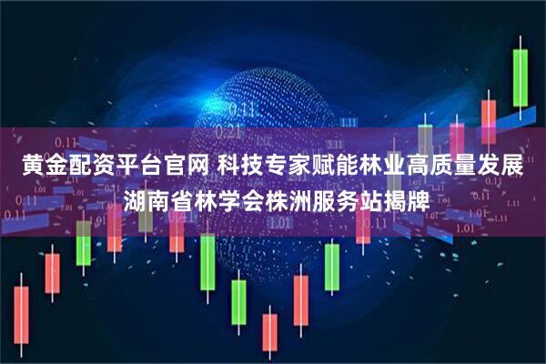 黄金配资平台官网 科技专家赋能林业高质量发展 湖南省林学会株洲服务站揭牌