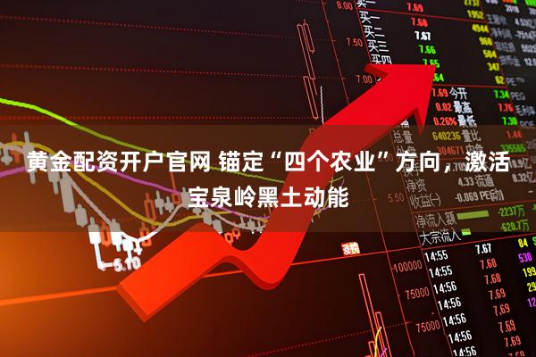 黄金配资开户官网 锚定“四个农业”方向，激活宝泉岭黑土动能