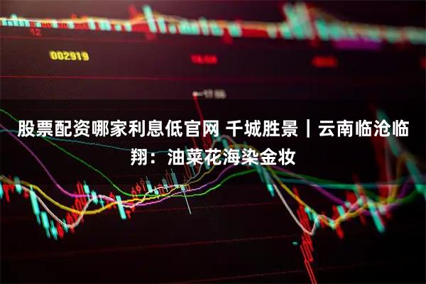 股票配资哪家利息低官网 千城胜景｜云南临沧临翔：油菜花海染金妆